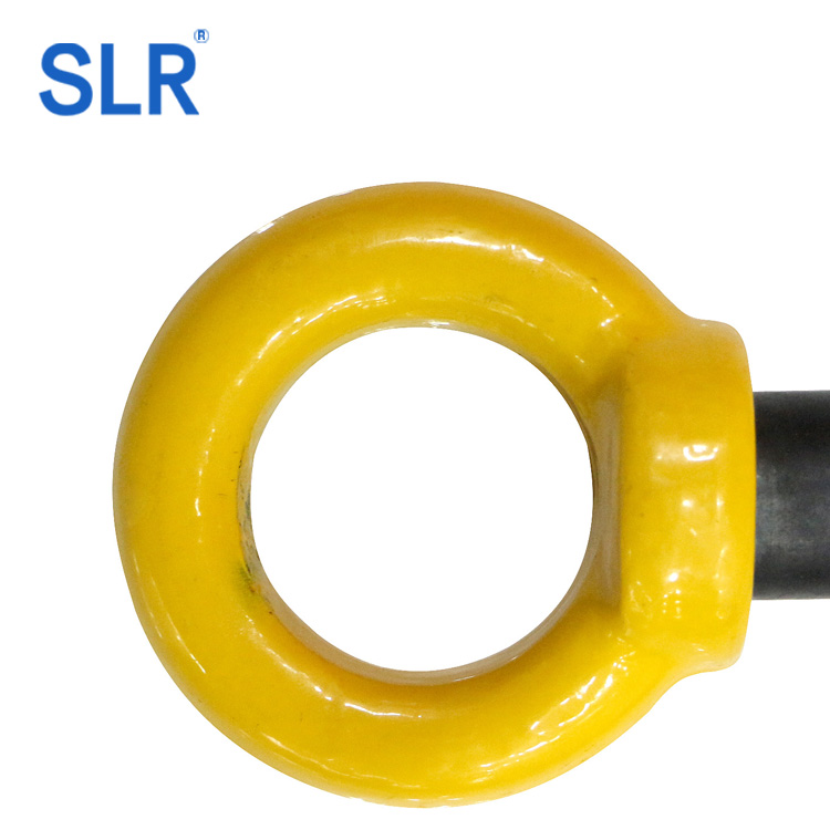 G80 Clevis Slip Hook With Latch Cast