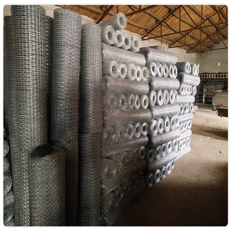 Galvanized Hexagonal Wire Mesh Netting for Chicken