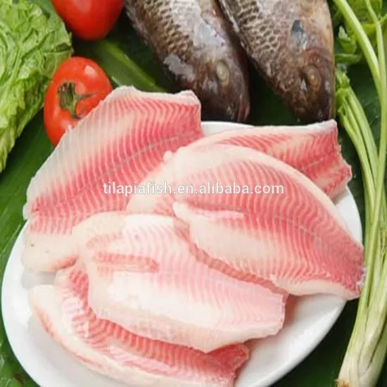 Chine orignal frozen tilapia fillet price