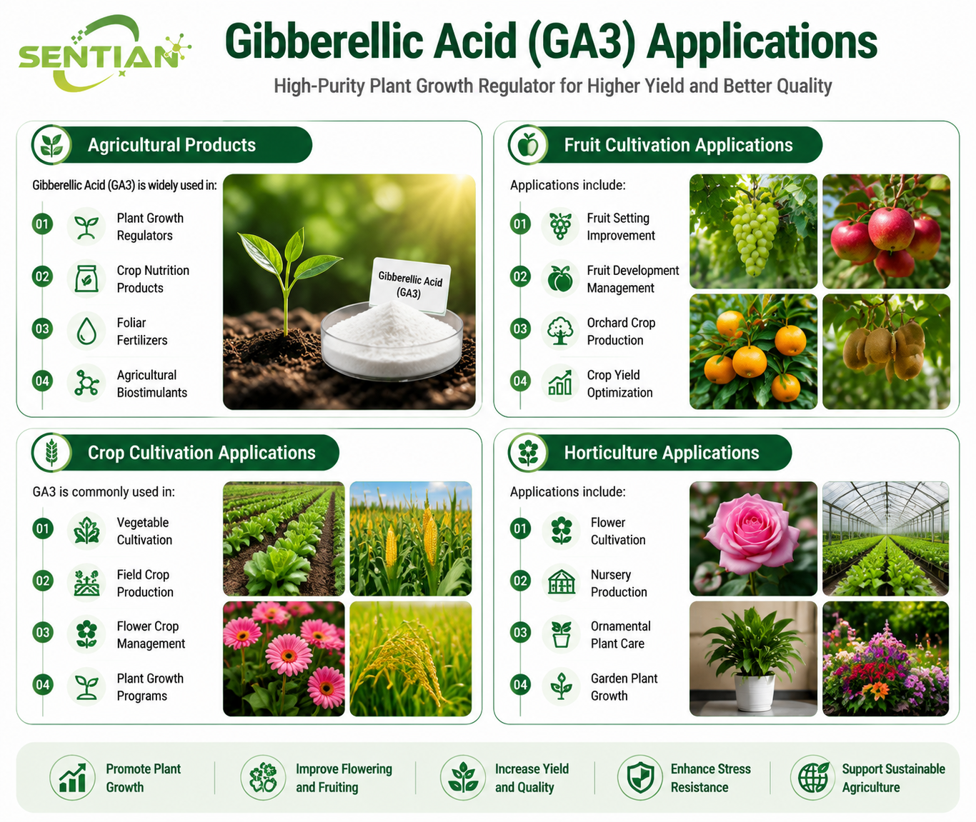 Gibberellic Acid (GA3)（2）