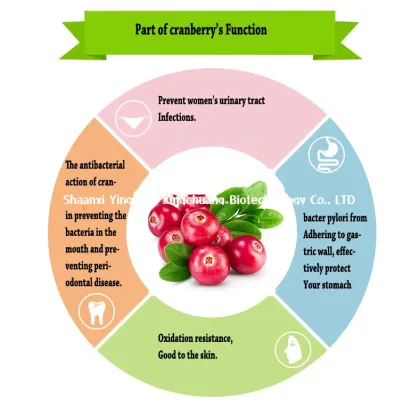 Cranberry Powder Cranberry Extract 25% Proanthocyanidin