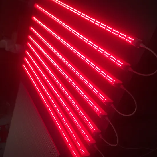 7Magic 660nm & 730nm LED Grow Lights: Enhancing Leafy Green Vegetable Growth with High PPF & PPFD Efficiency