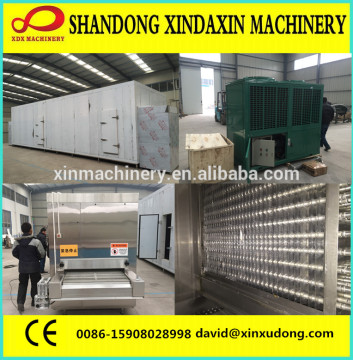 IQF quick freezing machine