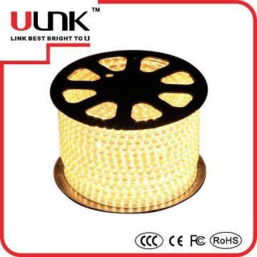 Zhongshan Ulink lighting YLF152 5050 LED rope light