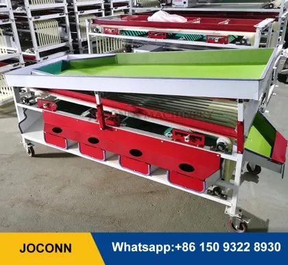 Multi-Fruit and Vegetable Sorting and Grading Machine