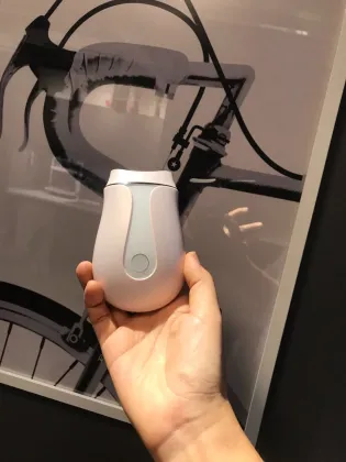 Multifunctional Beauty Device