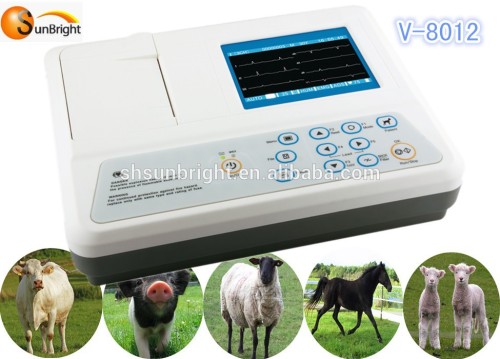 Vet Ecg/ekg, High Quality Vet Ecg/ekg on Bossgoo.com