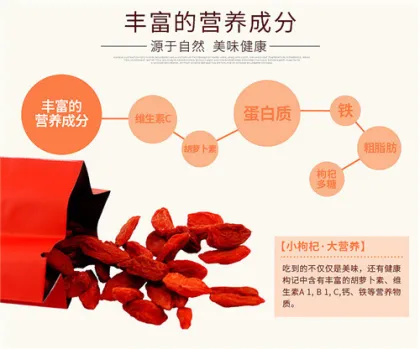 Chuanqi four seasons series goji berries orange
