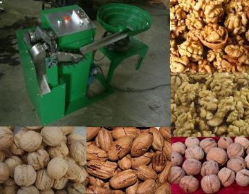 Automatic Walnut Sheller