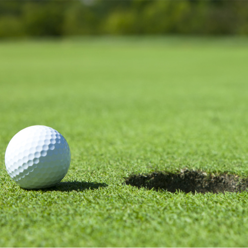 Prix ​​de l&#39;herbe de tapis pour le terrain de golf