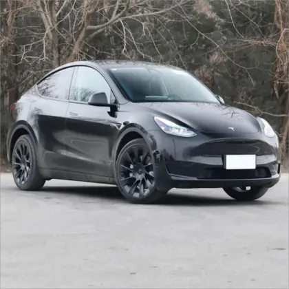 2023 Tesla Model Y: 4-Wheel Drive, 5-Seater Adult Electric SUV