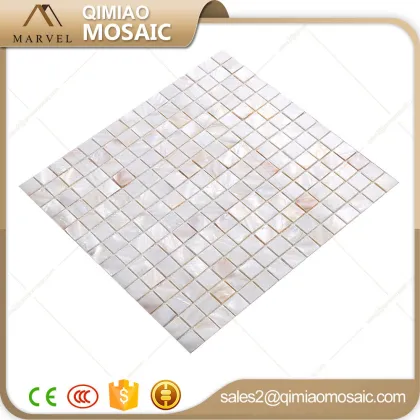 All Kinds Of Building Materials Super White Sea Shell Abalone Mosaic