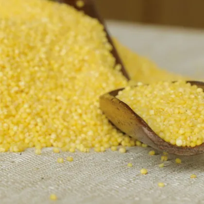 NianYuGou Gulong Gongmi 2.4kg/box