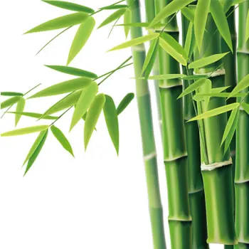 Concentrated bamboo fragrance oil Bulk Wholesale Long Lasting Fragrance Oil For Soap Candle Shampoo Perfume Making