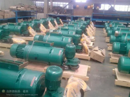 Hoist CD electric hoist