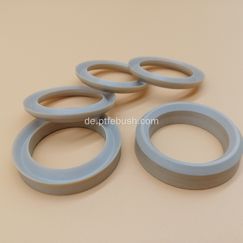 Axial Seal Peek Material V Packdichtung Set