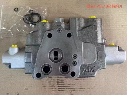 Hengli HVSE18 bucket Valve Plate