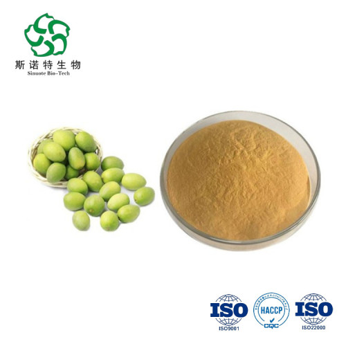 High Quality Natural Olive Fruit Extract