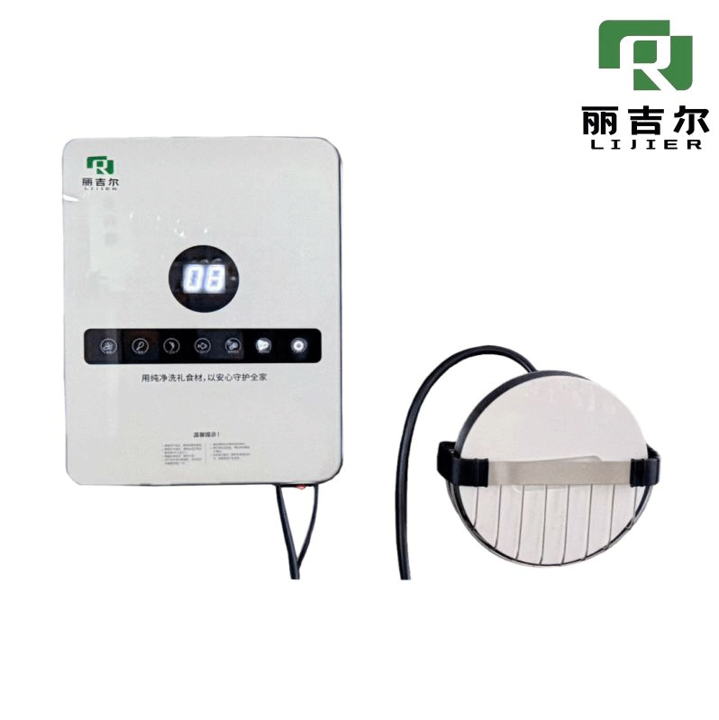 Advanced Food Purifier for Home Use