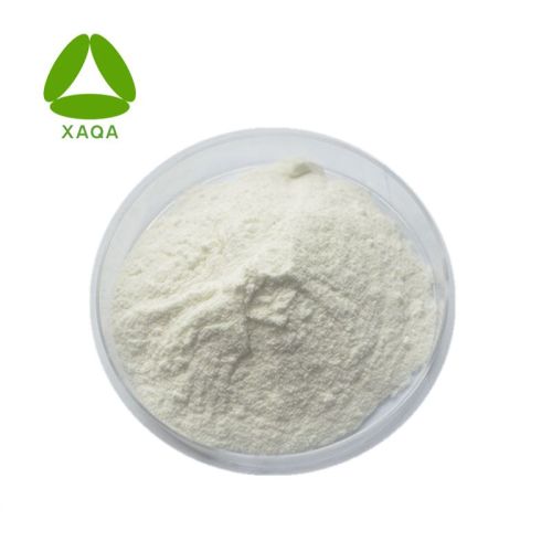 Fat burning white kidney bean extract powder1% Phaseolin