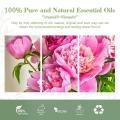 Hot Selling High Quality Cosmetic Grade Aromatherapy Food Grade Pure Natural Peony Oil