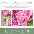 VENDA HOT LANÇA DE ALTA QUALIDADE DE AROMATEPIA DE AROMATEPIA DE AROMATEPIA PEONA PURAIS PEONY PEONY PEON