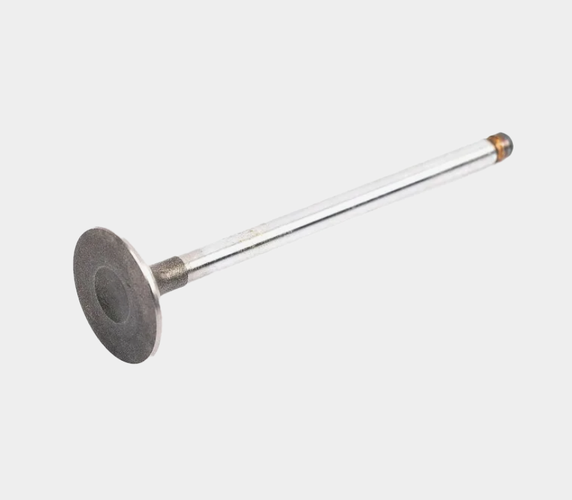 96440081 Intake Valve for Engine