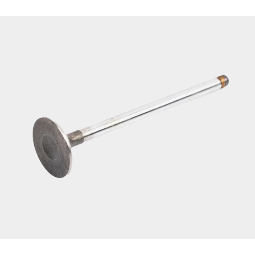 Intake Valves for Diesel & Gas Engines