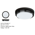 Ceiling Mount Lighting Black Metal Decrative Flush Mount LED Ceiling Lighting Manufactory
