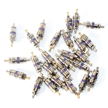 Pokka 100 PCS Core Valve pour les pneus automobiles et compresseur AC