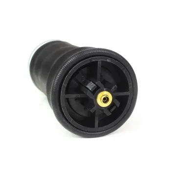 Truck Suspension Parts: Shock Absorber and Air Spring for Freightliner