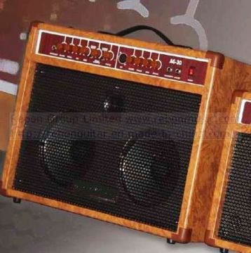 Acoustic Electric Guitar Amplifier in 30 Watt