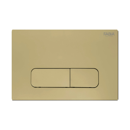 Universal ABS Plastic Dual Flush Panel