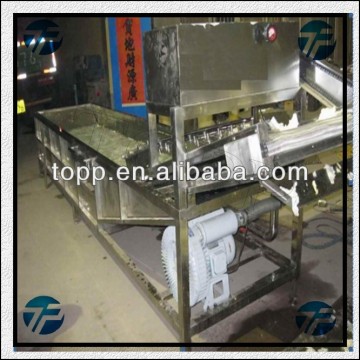 Air Bubble Vegetable Fruit Washing and Cleaning Machine