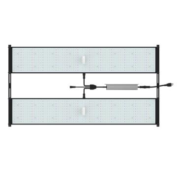 Scheda Quantum LED fai da te Phlizon 480W