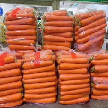 Premium Sweet Crisp Orange Red Carrot