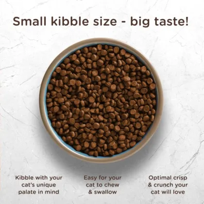 Rachael Ray Nutrish Chickpeas Flavor Dry Cat Food