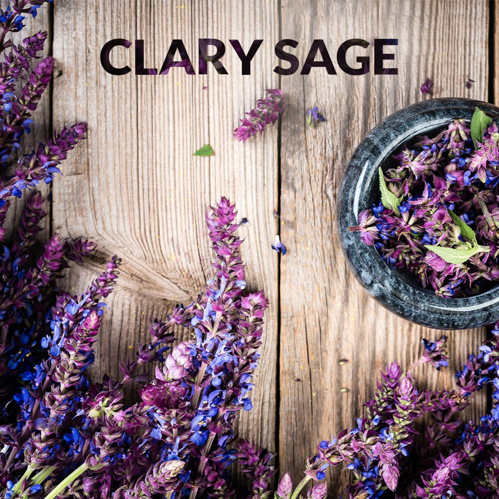 100% Pure natural organic clary sage oil