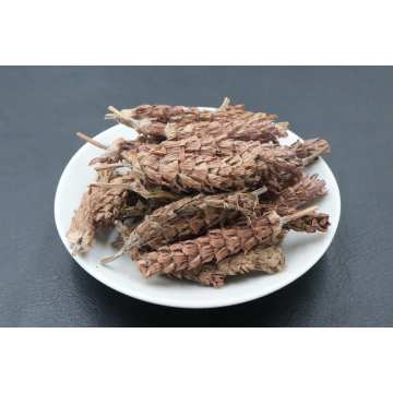 Thảo Dược Khô Xia Ku Cao