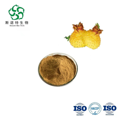 Food Grade Rosa Roxburghii Tratt Sod Juice Powder