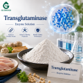 Transglutaminase الميكروبية لمعالجة اللحوم والبروتين