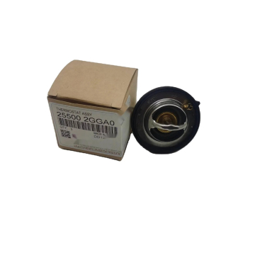Good Quality Smart Temperature Controller Thermostat 255002GGA0