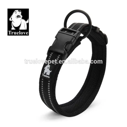 Duraflex Buckle Nylon webbing pet Dog Training Collars