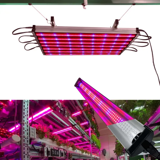 Full Spectrum LED Plant Growing Light 660nm Red Blue 8:1 Ratio
