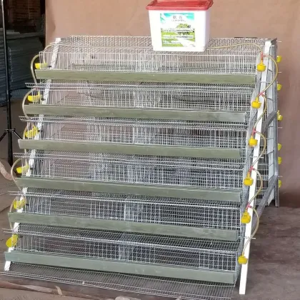 Poultry Quail Equipment: Layer Quail Cage with Automatic Feeder