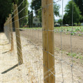 Galvanized Hinge Joint Cattle Fence