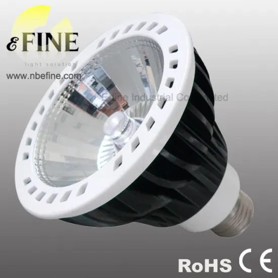 CE ROHS PAR30 LED lamp 13W COB