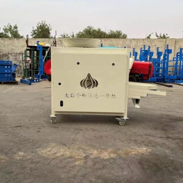 Garlic Clove Sorting and Screening Machine
