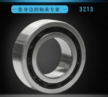 NON-STANDARD DOUBLE ROW BEARING