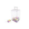 Custom clear PET plastic cylinder box packaging